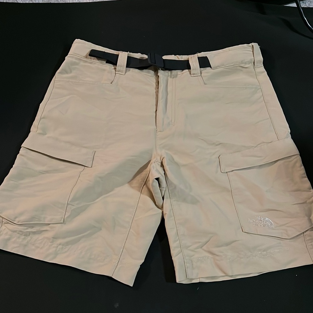 NORTH FACE cargo shorts 🩳